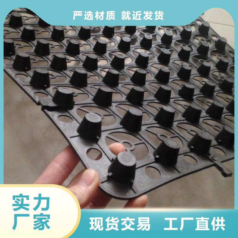 江口排水板真正的厂家货源