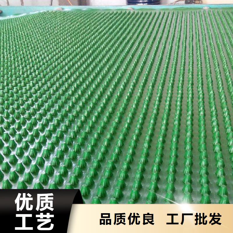 江口排水板自有工厂