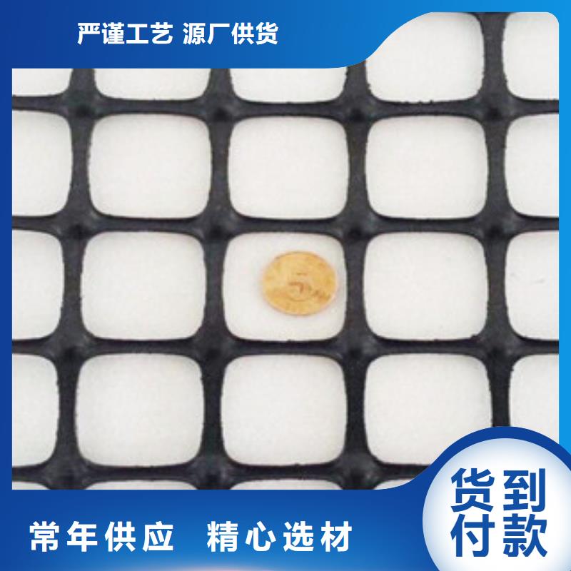 土工格栅_支持定制