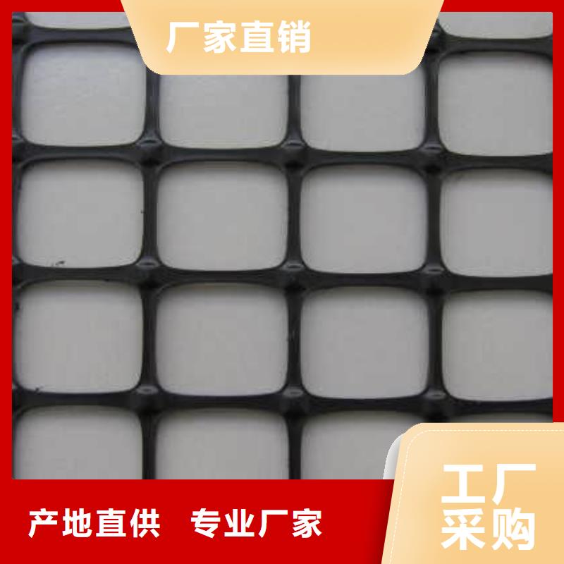 专业生产制造土工格栅公司