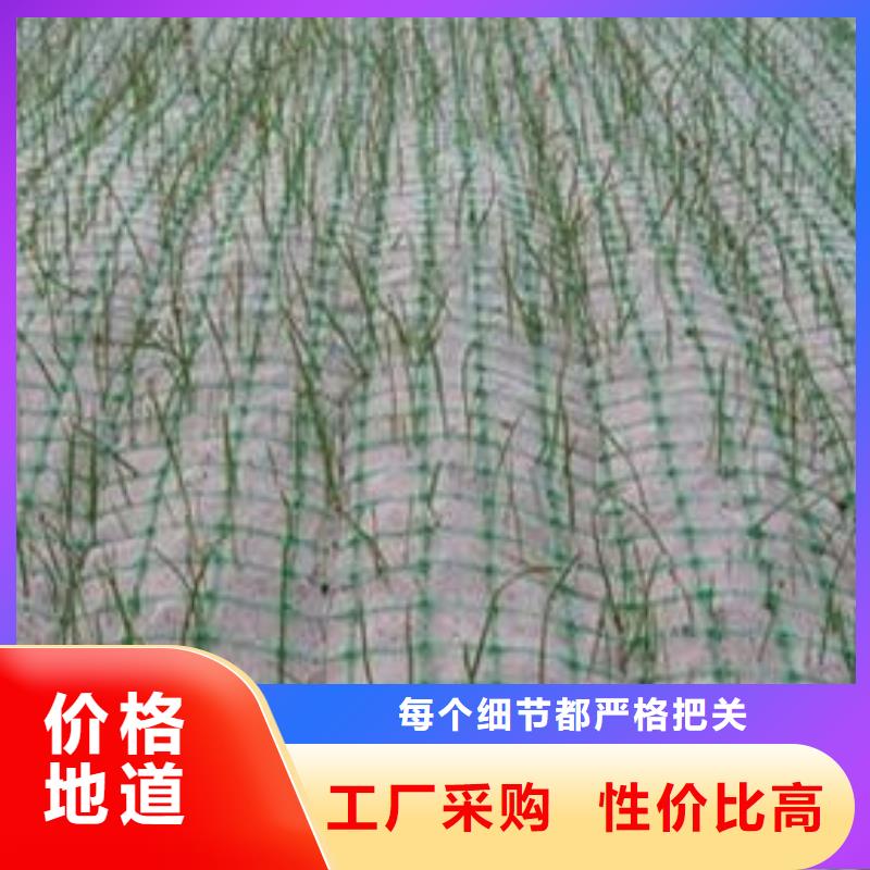 拉筋带、盲沟、软管、排水网购买认准禅城实力厂家