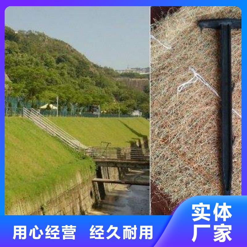 拉筋带、盲沟、软管、排水网现货厂家专注产品质量与服务