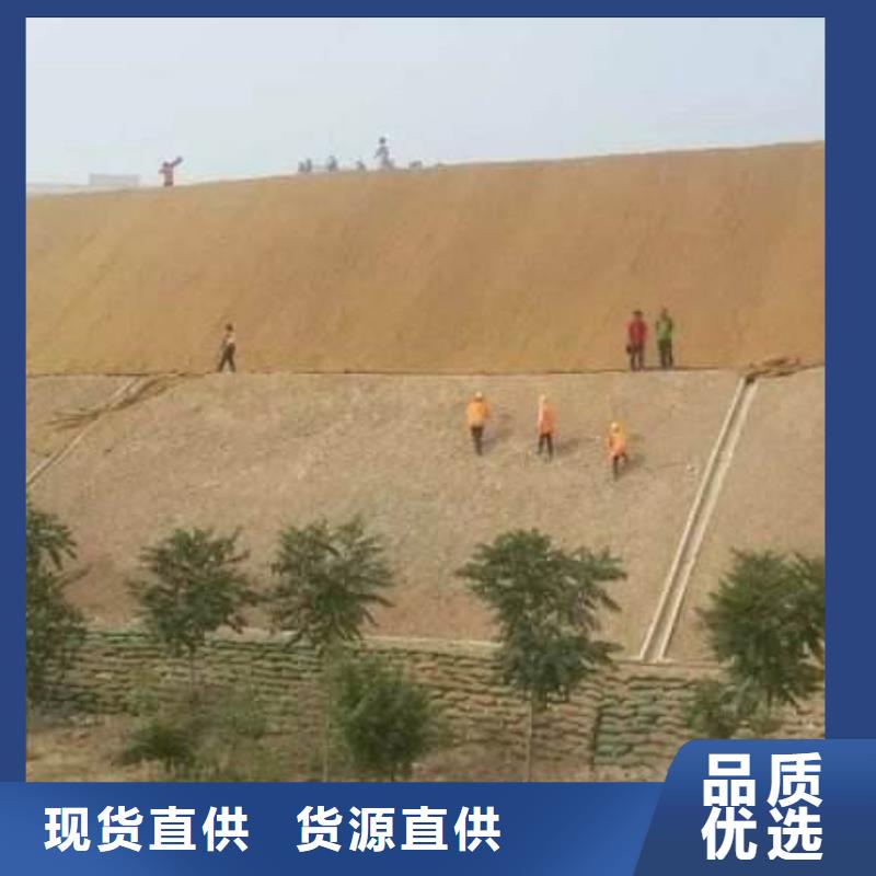 禅城拉筋带、盲沟、软管、排水网高品质