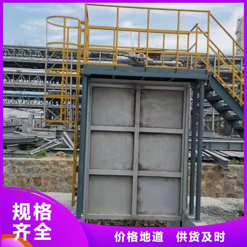 钢闸门-只做精品