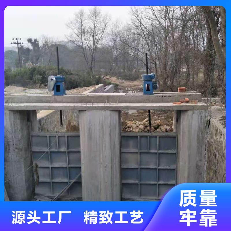 专业销售钢闸门-口碑好