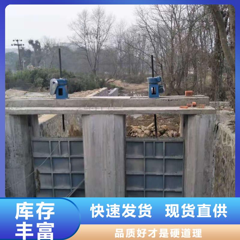 可定制的钢闸门厂家