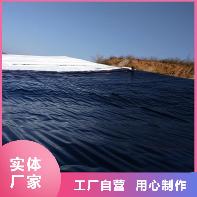 发货速度快的土工膜销售厂家