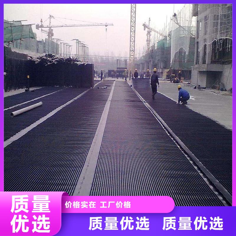 排水板产地货源