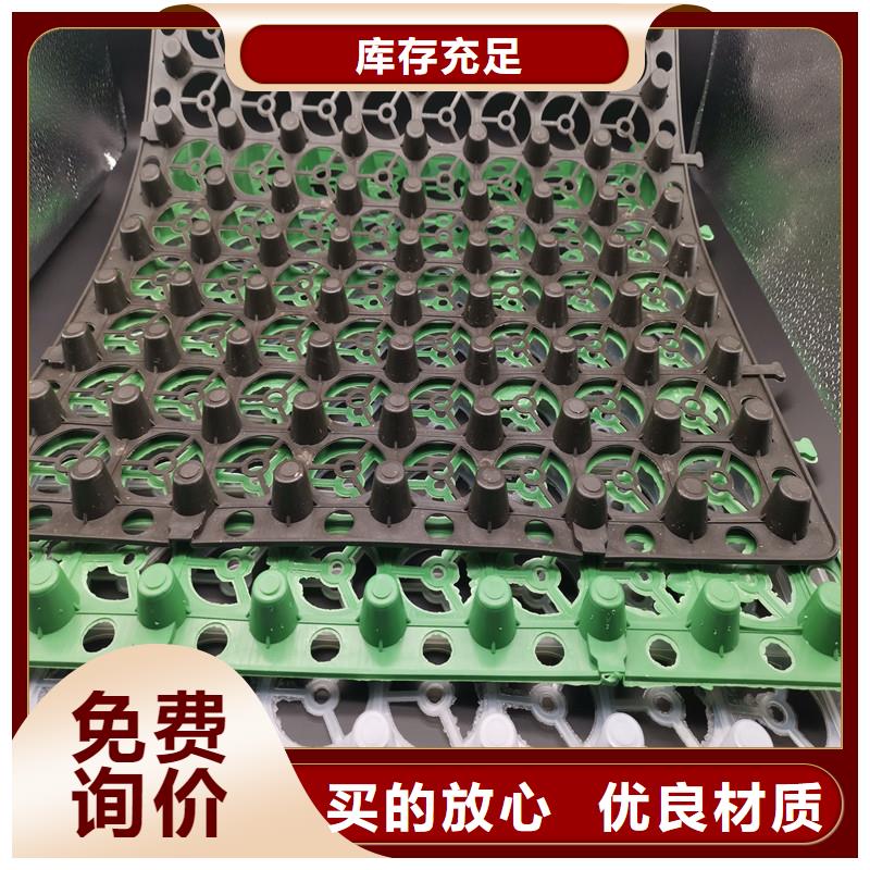 蓄排水板厂家低价出货
