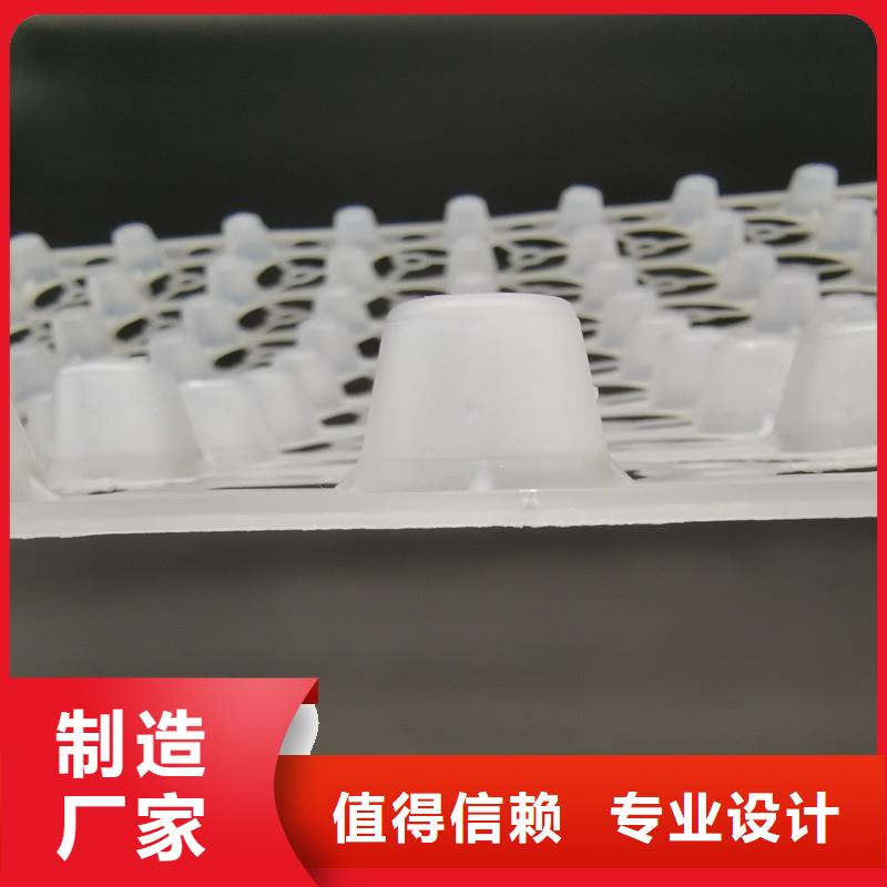 蓄排水板企业-质量过硬