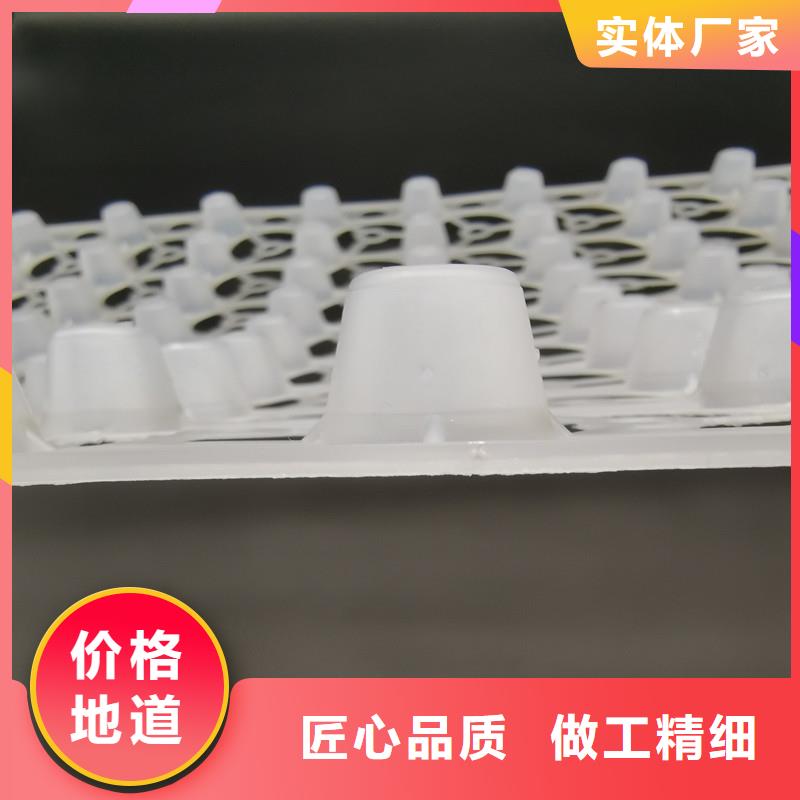 蓄排水板厂家-高品质