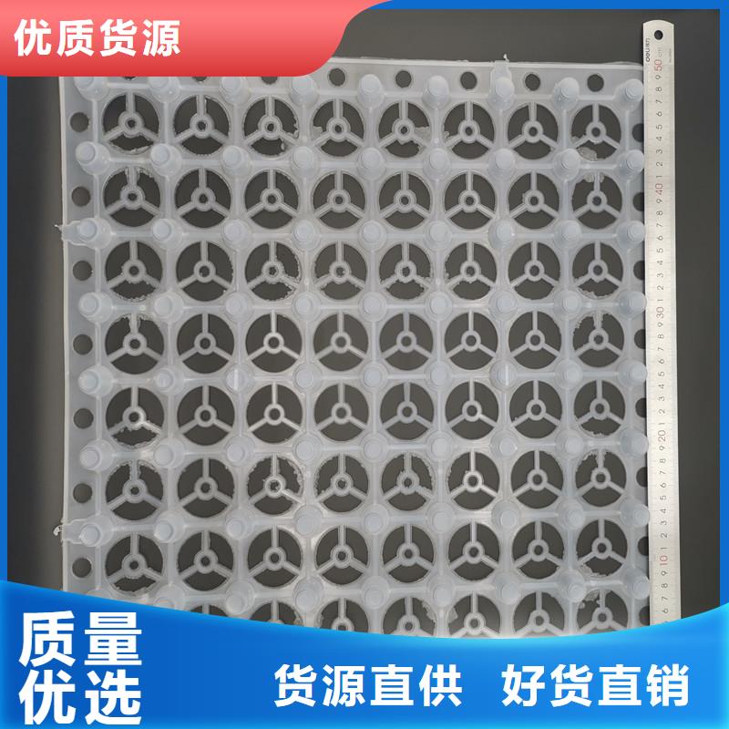 质量靠谱的蓄排水板厂家
