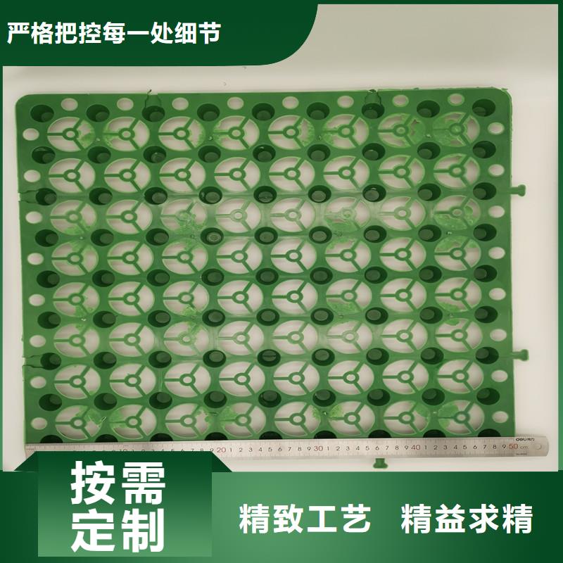 当地蓄排水板生产厂商