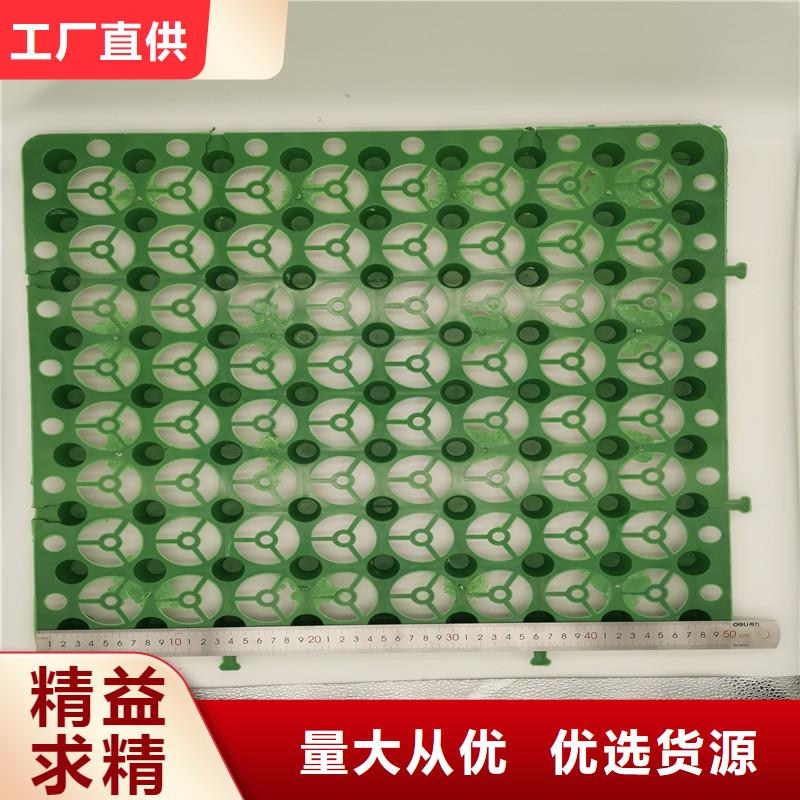 现货供应蓄排水板_精选厂家