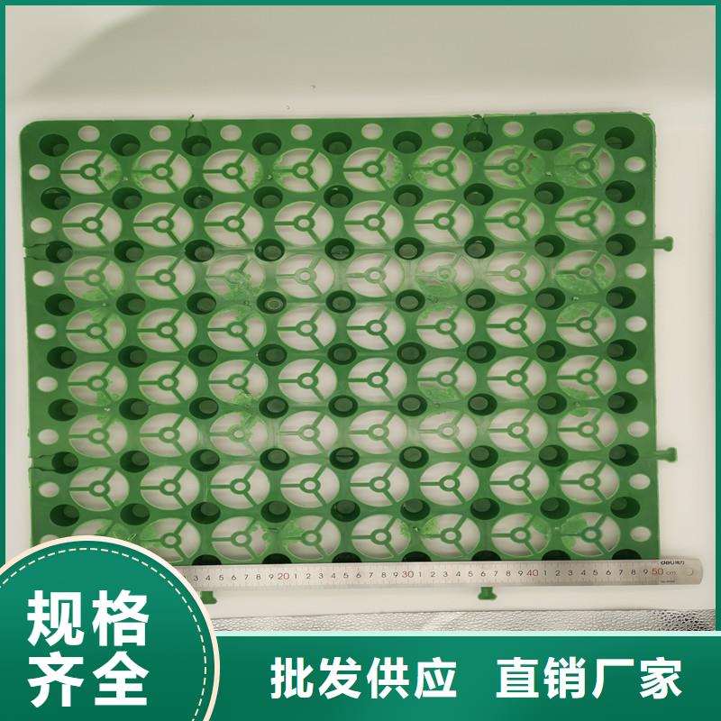 蓄排水板厂家可开票