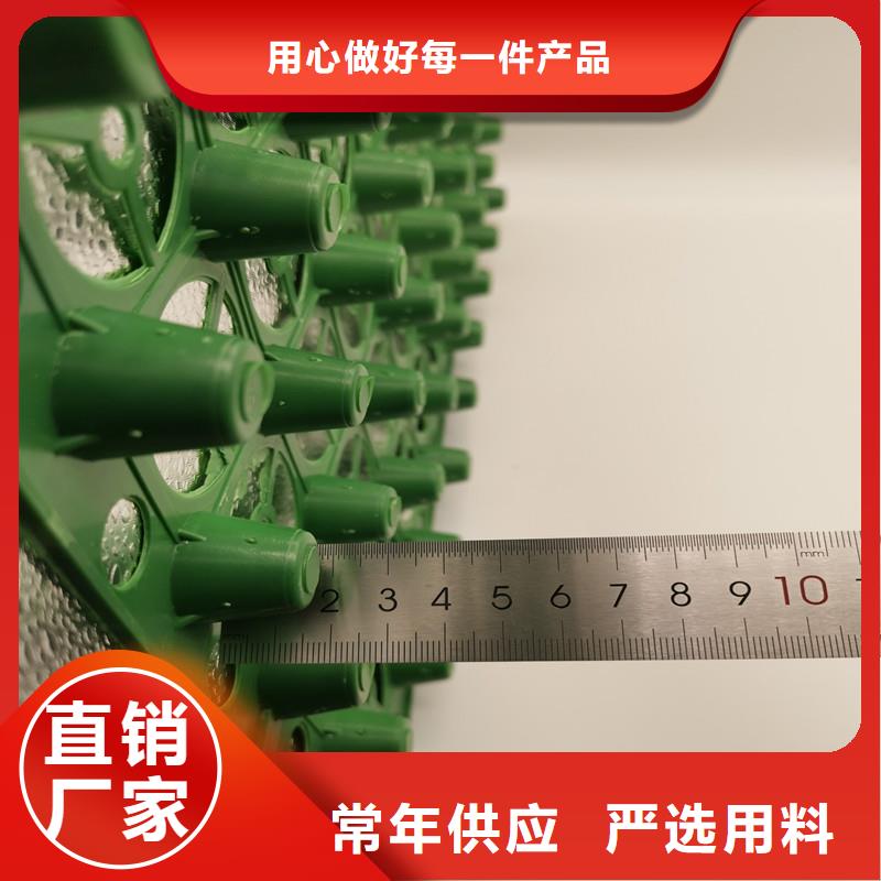 蓄排水板报价