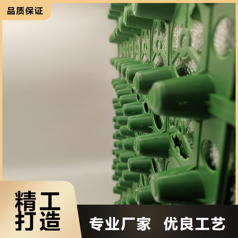 蓄排水板诚信立足