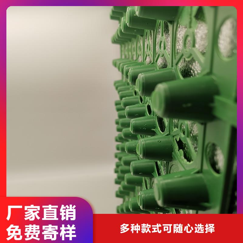 蓄排水板电话报价