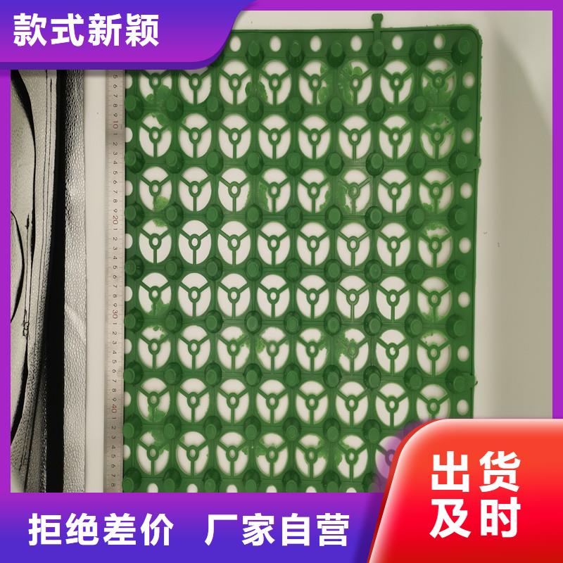 蓄排水板厂家当天发货