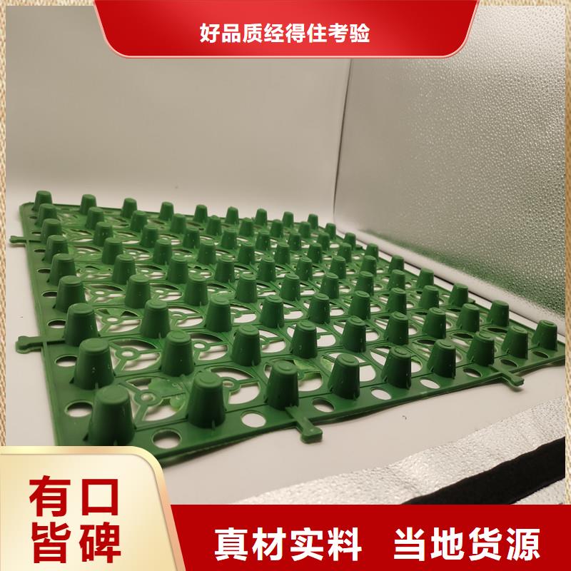 蓄排水板-我公司资质齐全