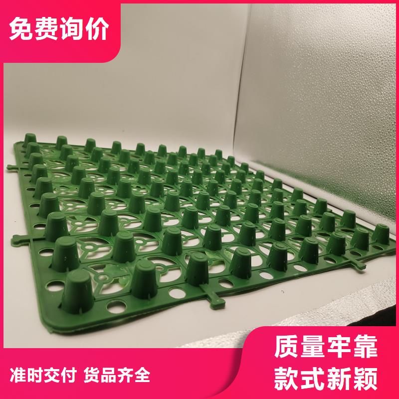 欢迎访问##蓄排水板##厂家