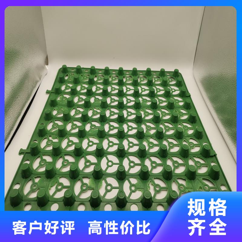 2025当天发货#蓄排水板#大量库存