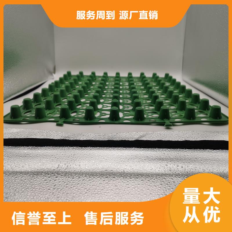 蓄排水板品牌-厂家本地生产厂家