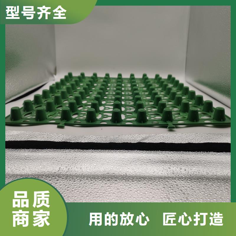 蓄排水板厂家低价出货