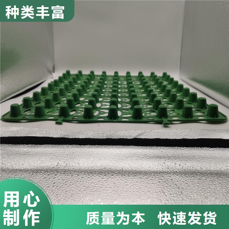 蓄排水板-蓄排水板厂家直销