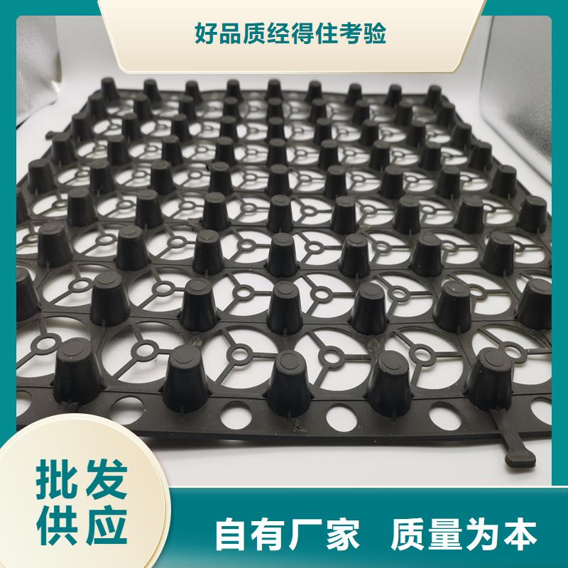 蓄排水板择优厂家