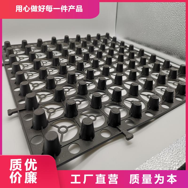 蓄排水板厂家低价出货