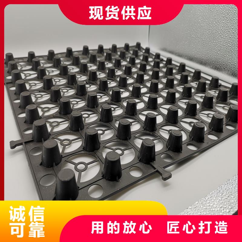 蓄排水板-蓄排水板专业厂家