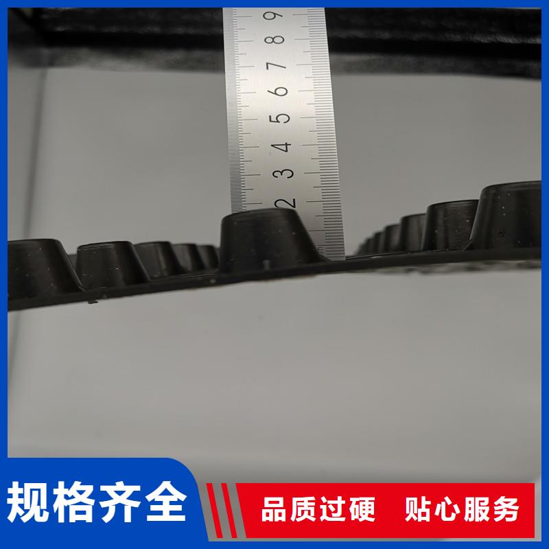 蓄排水板公司地址
