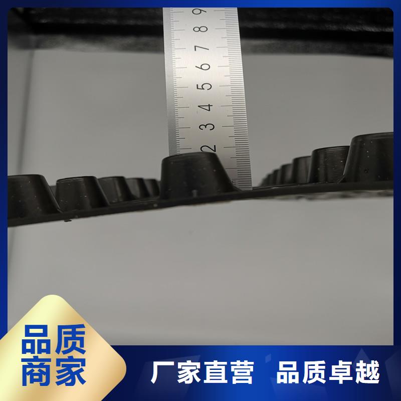 蓄排水板厂家找梦想工程材料有限公司