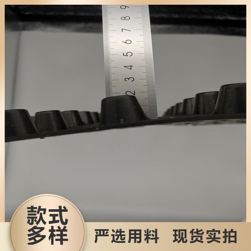 常年供应蓄排水板-放心