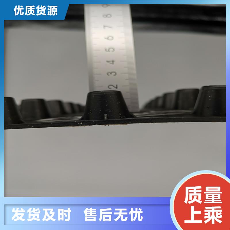 口碑好蓄排水板厂家