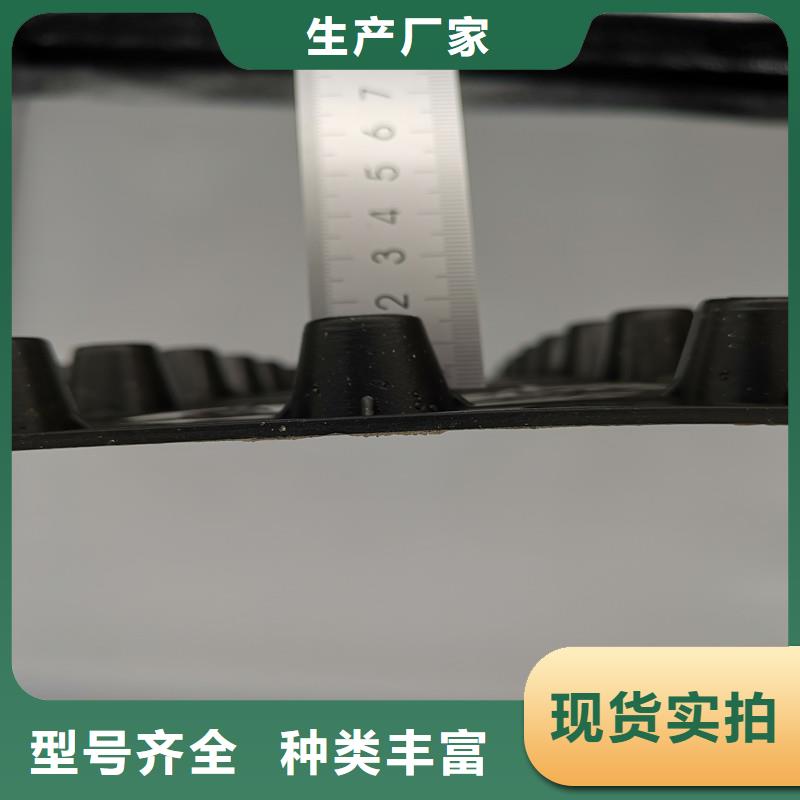 蓄排水板供应