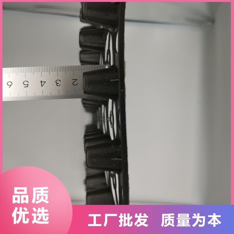 蓄排水板厂家地址