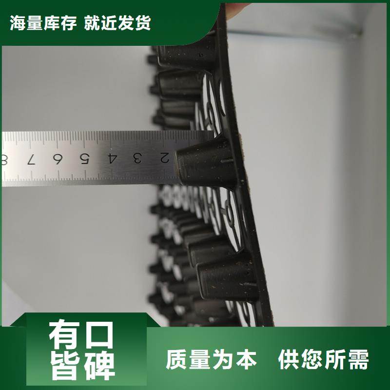 蓄排水板厂家地址