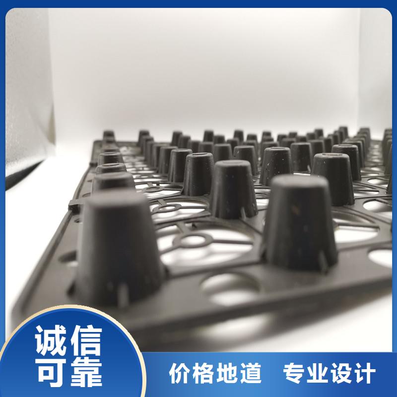蓄排水板正规工厂有保障