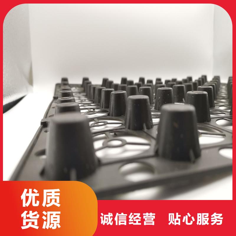 蓄排水板、蓄排水板生产厂家-值得信赖