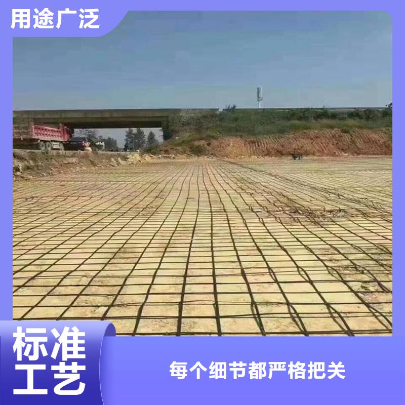 钢塑土工格栅厂价批发