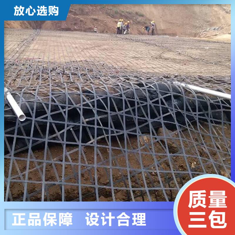 2025质优价廉#钢塑土工格栅制造商#来图定制