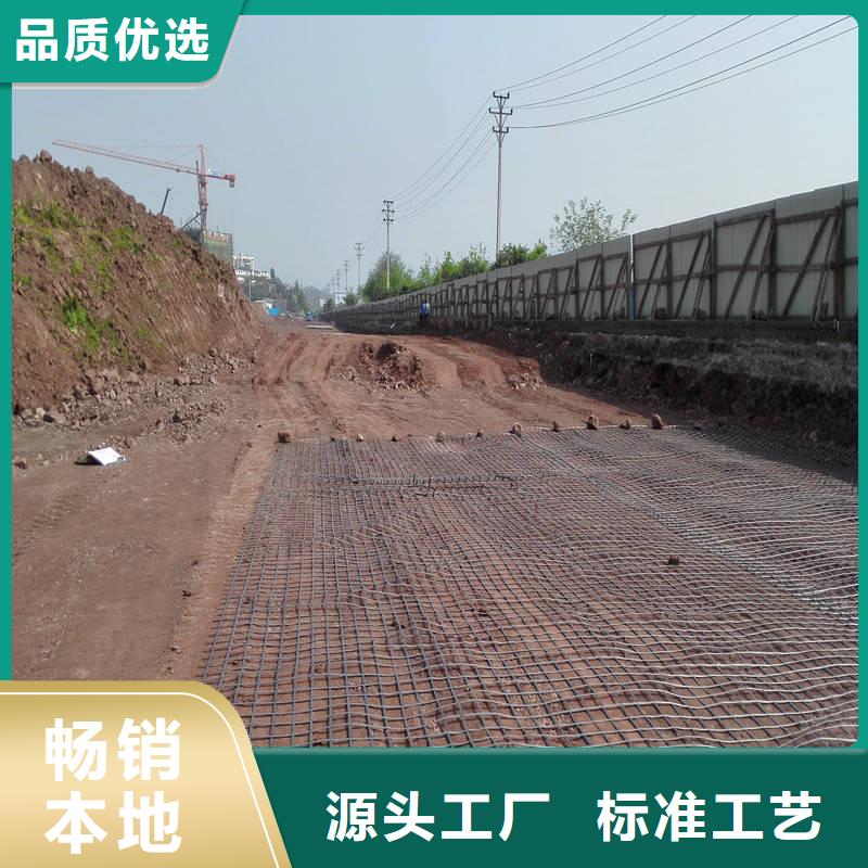 钢塑土工格栅厂家规格齐全
