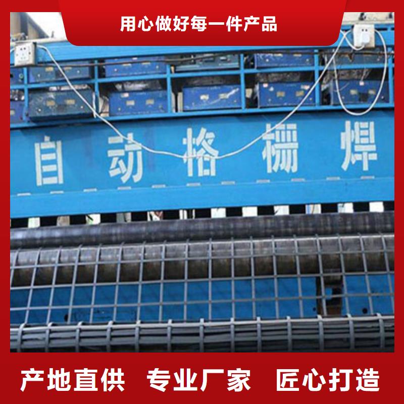 钢塑土工格栅-欢迎来厂考察本地生产商