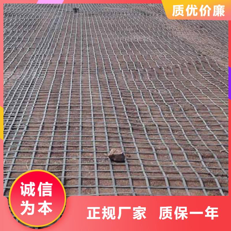 嘉黎生产钢塑土工格栅的基地