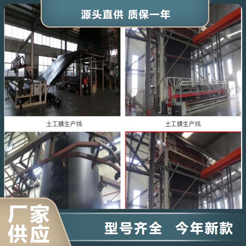规格全的土工膜本地厂家