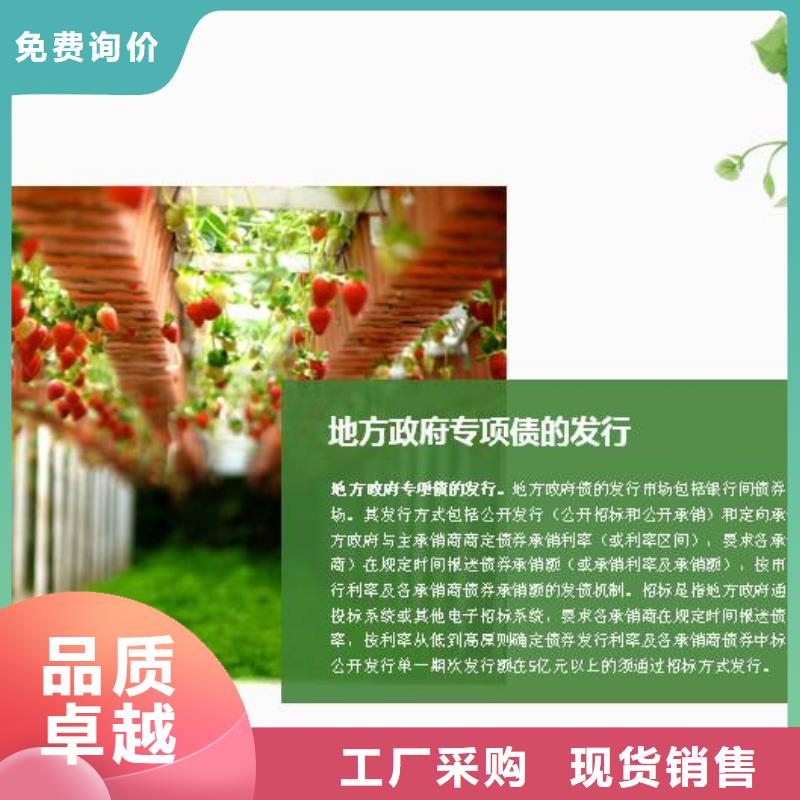 元宝专项债品质稳定