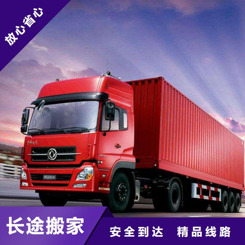 徐闻001性价比高