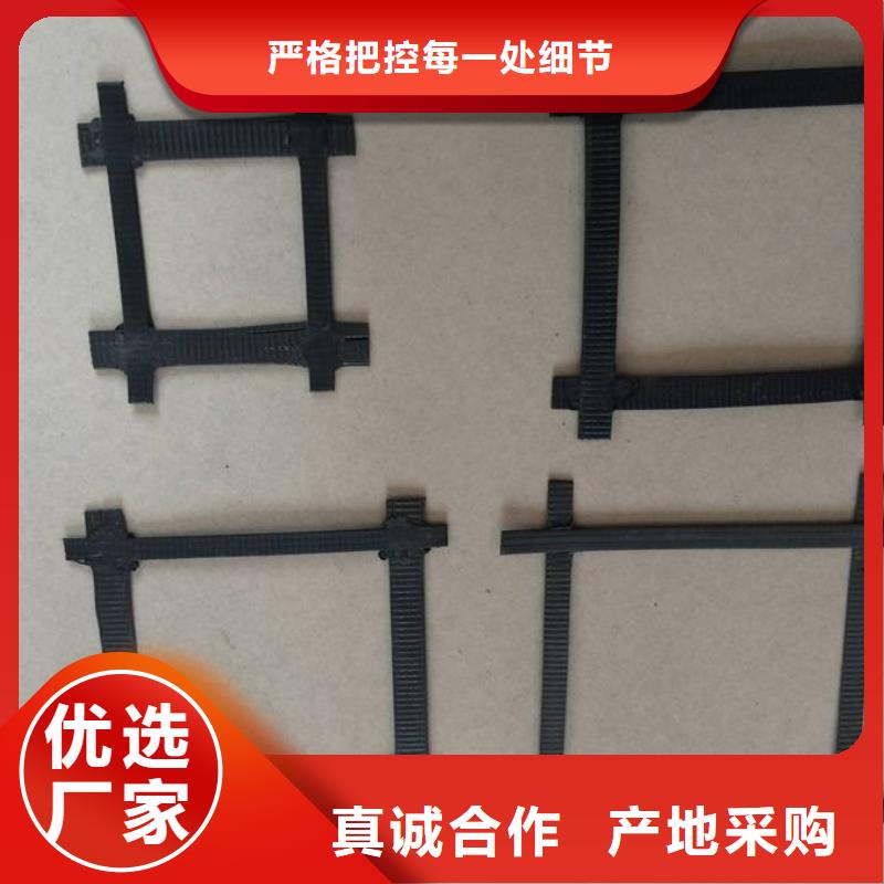 钢塑土工格栅参数详情